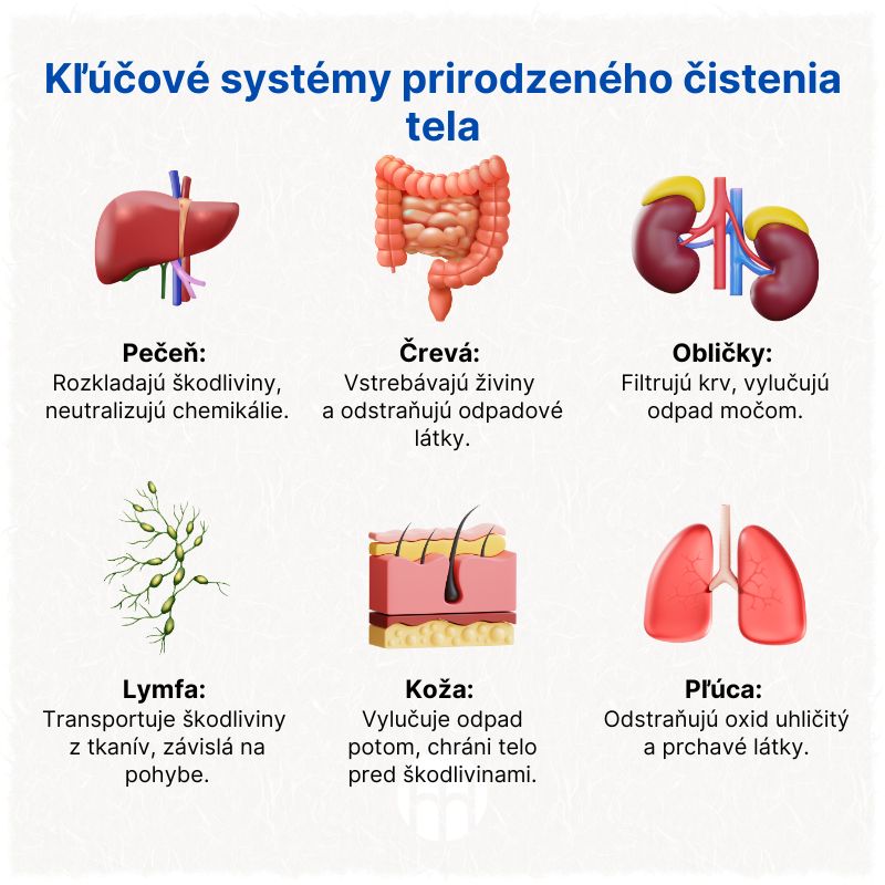 (Slovenčina) Klíčové ingredience pro zářivější úsměv